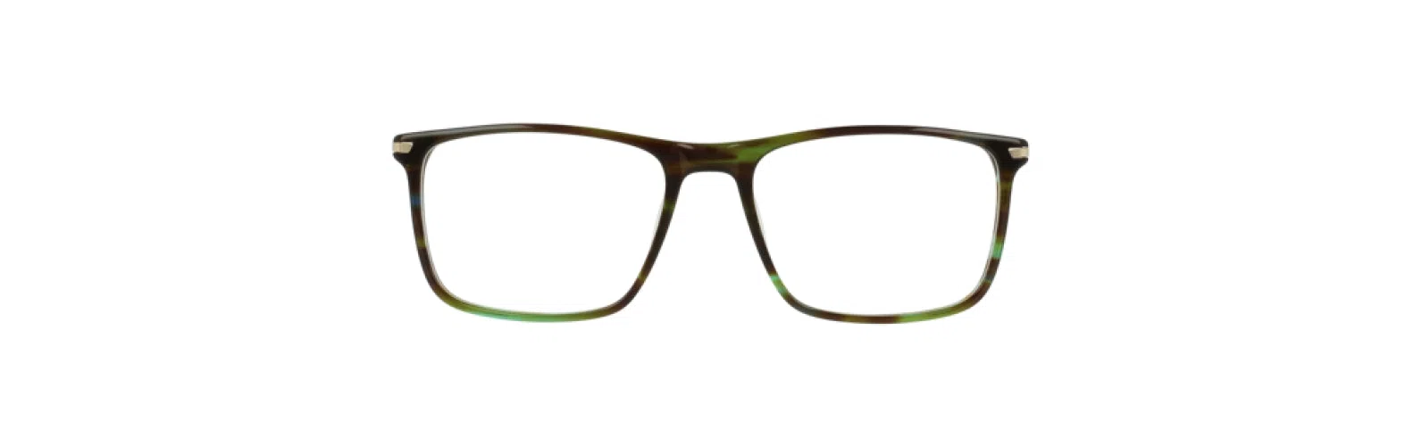 Argyleculture ARBOONE Eyeglasses - view 6